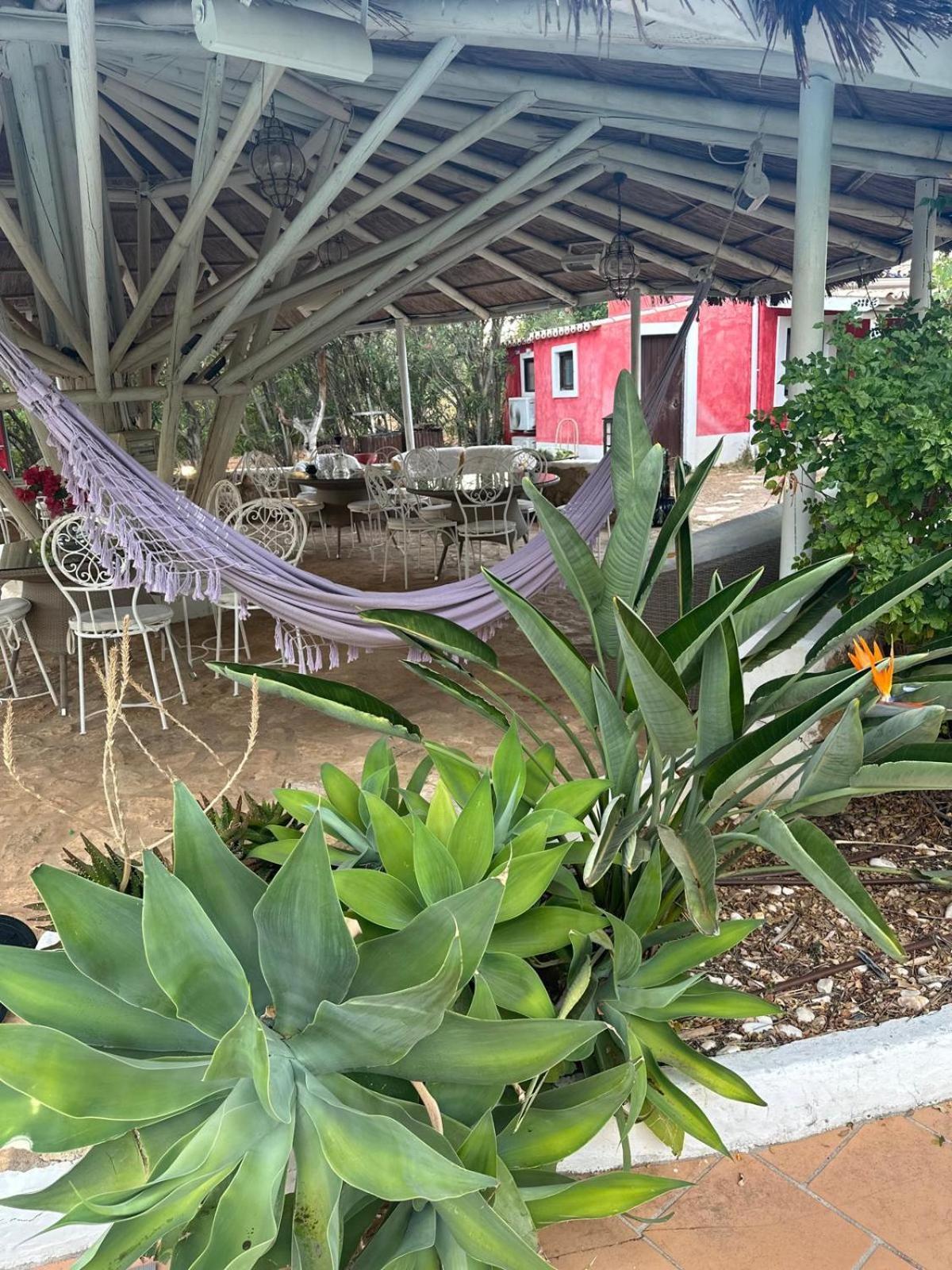 Nuriah Boutique House Otel Boliqueime Dış mekan fotoğraf